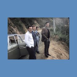 bresil-0840.jpg - 114.53 KB - 800 x 542 pixels
